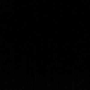 Meet your Posher, Damien